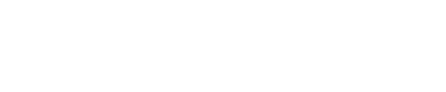Master Partner